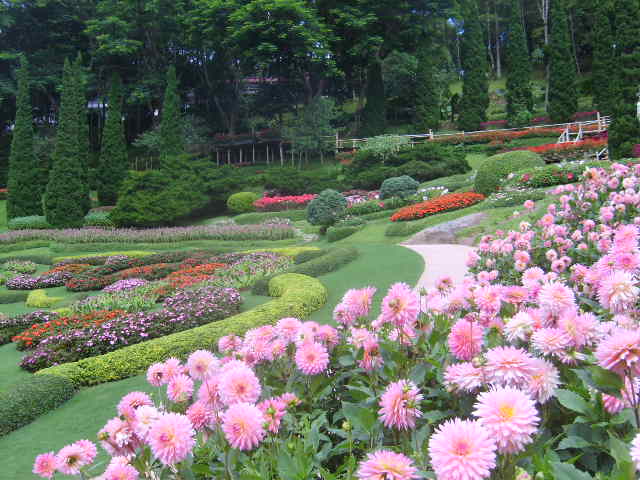 Photo by :: ����ǧ