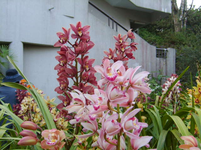 Photo by :: ����ǧ