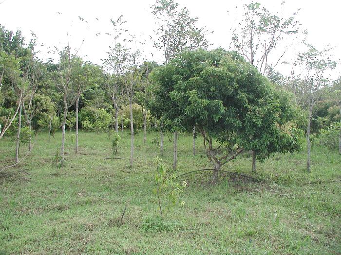 Photo by :: อ.สายหยุด สุขยิ่ง