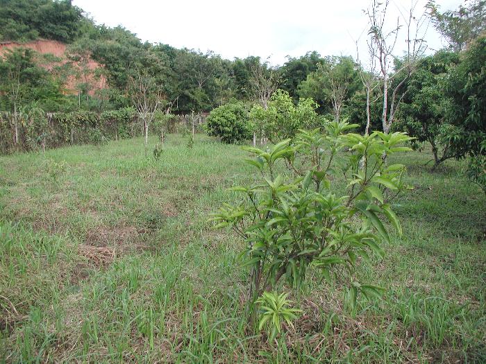 Photo by :: อ.สายหยุด สุขยิ่ง