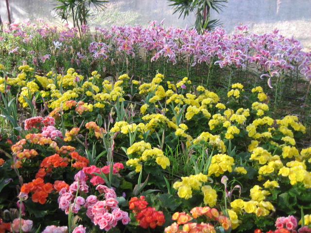 Photo by :: �س��ا