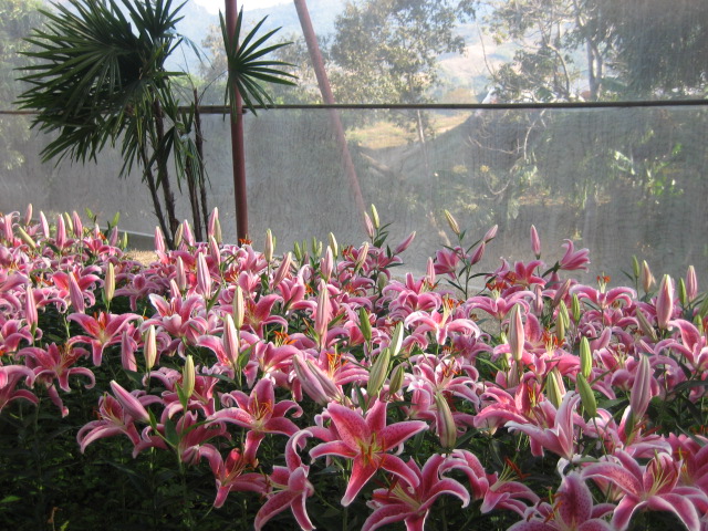 Photo by :: �س��ا