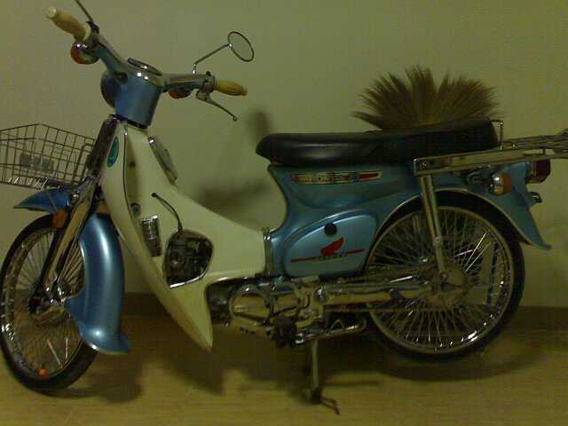 Photo by :: �ѯ��