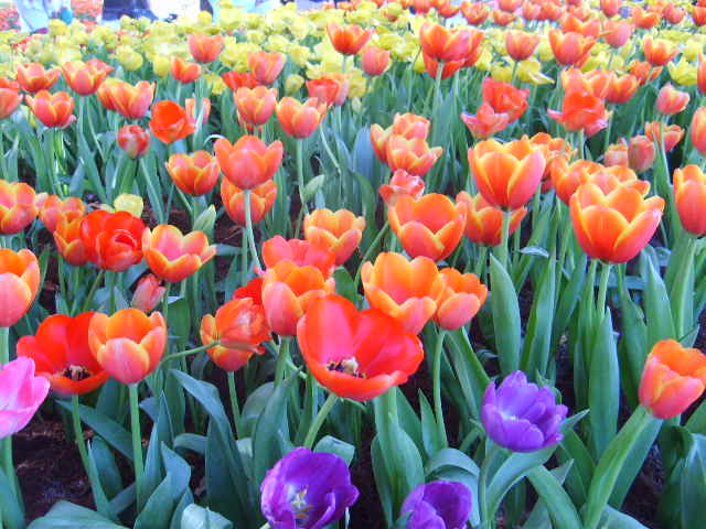 Photo by :: ����ǧ