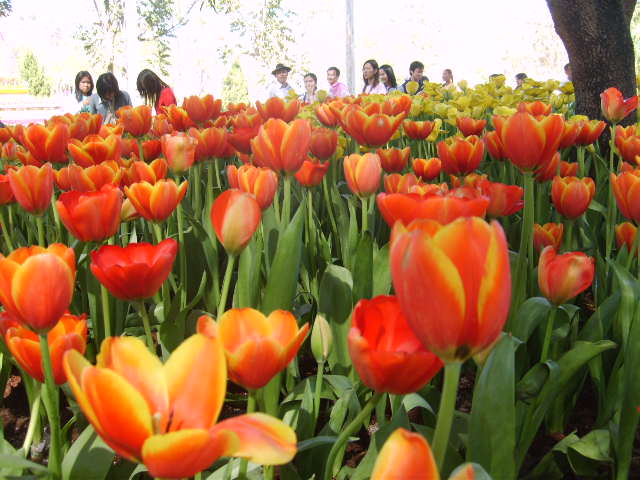 Photo by :: ����ǧ