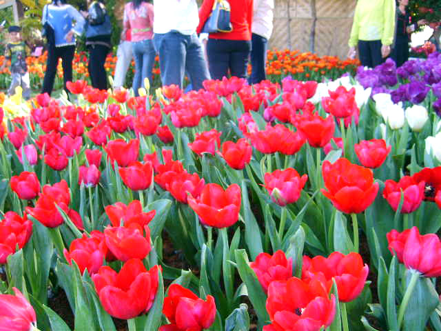 Photo by :: ����ǧ