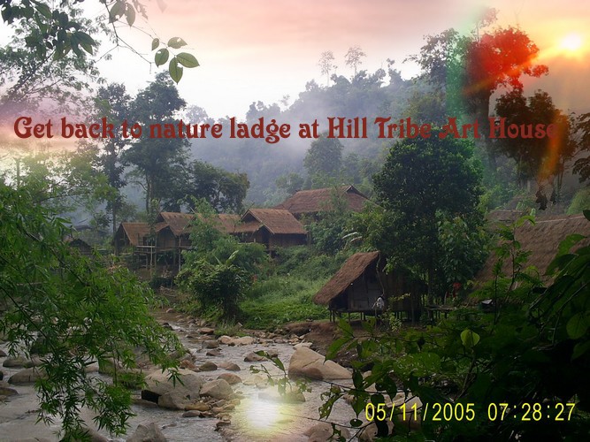 Photo by :: ทีมซากูระบาน