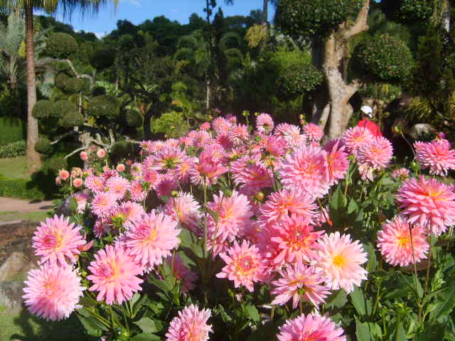 Photo by :: ลมหลวง