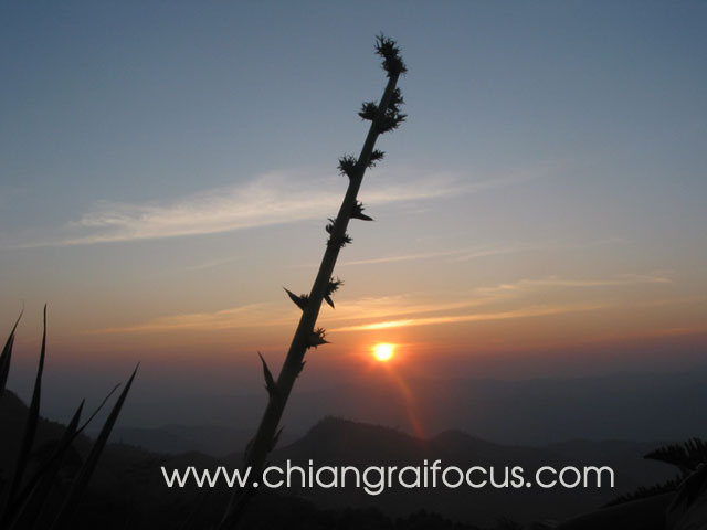 Photo by :: ��§���⿡��