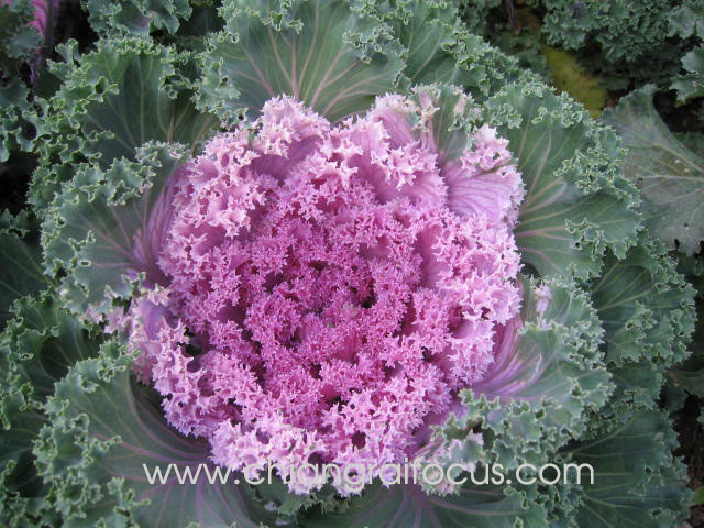 Photo by :: ��§���⿡��