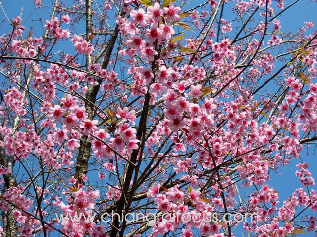 Photo by :: ��§���⿡��