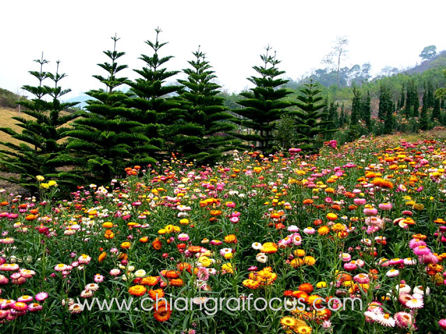 Photo by :: ��§���⿡��