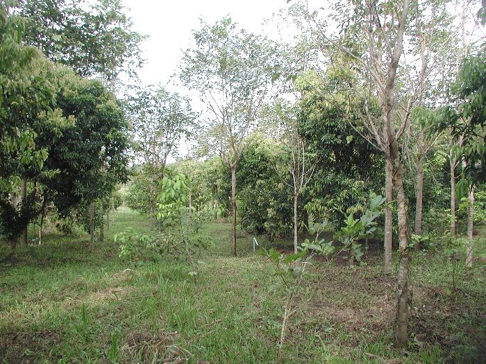 Photo by :: �.�����ش  �آ���