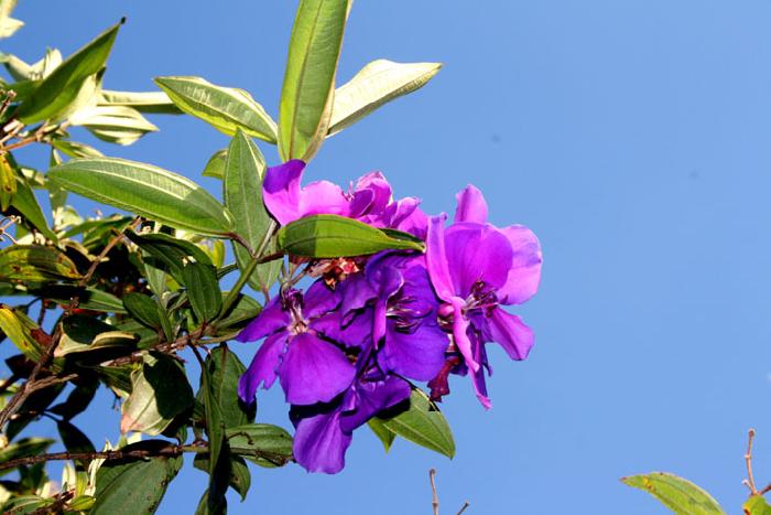 Photo by :: ����ǧ