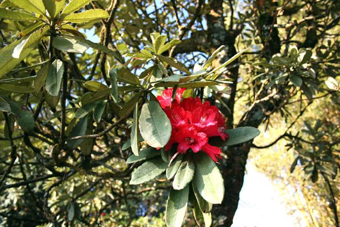 Photo by :: ����ǧ