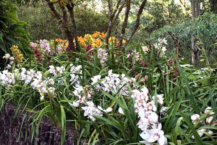 Photo by :: ����ǧ