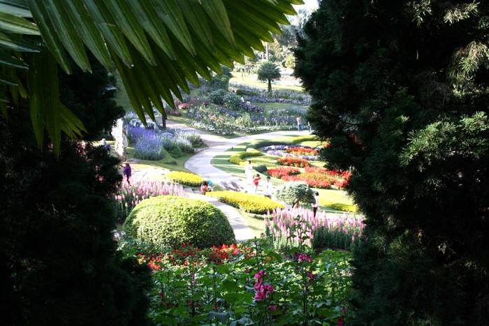 Photo by :: ����ǧ