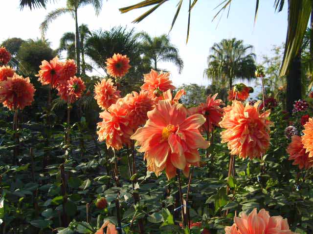 Photo by :: ����ǧ