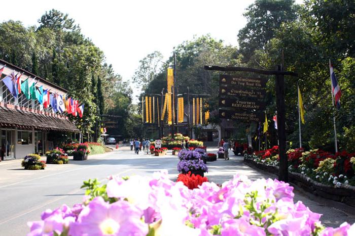 Photo by :: ����ǧ