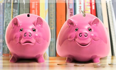 Photo by :: หมูน้อยน่ารัก