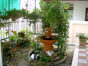 Photo by :: �����