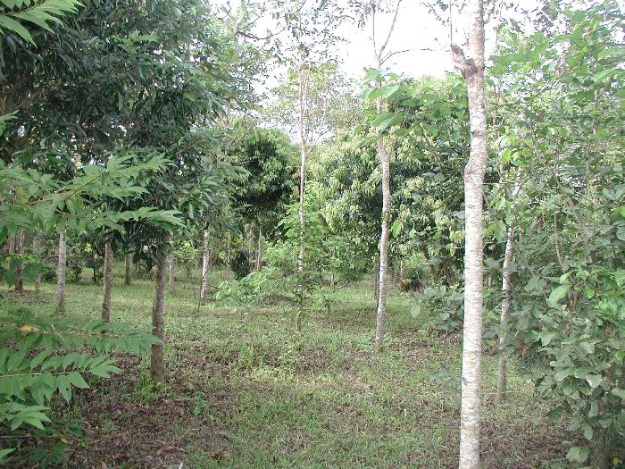 Photo by :: �.�����ش  �آ���