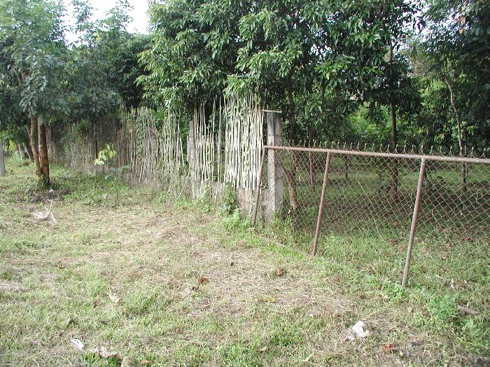 Photo by :: �.�����ش  �آ���