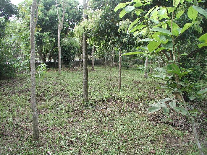 Photo by :: �.�����ش  �آ���