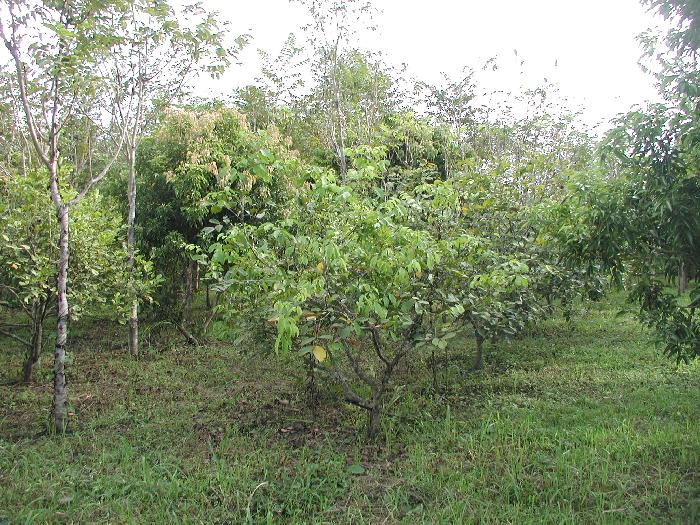 Photo by :: �.�����ش  �آ���