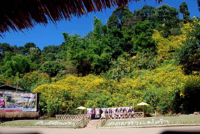 Photo by :: ����ǧ