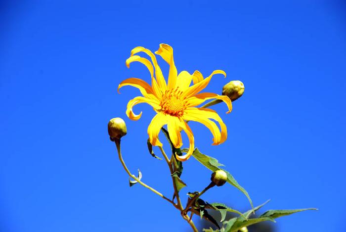 Photo by :: ����ǧ