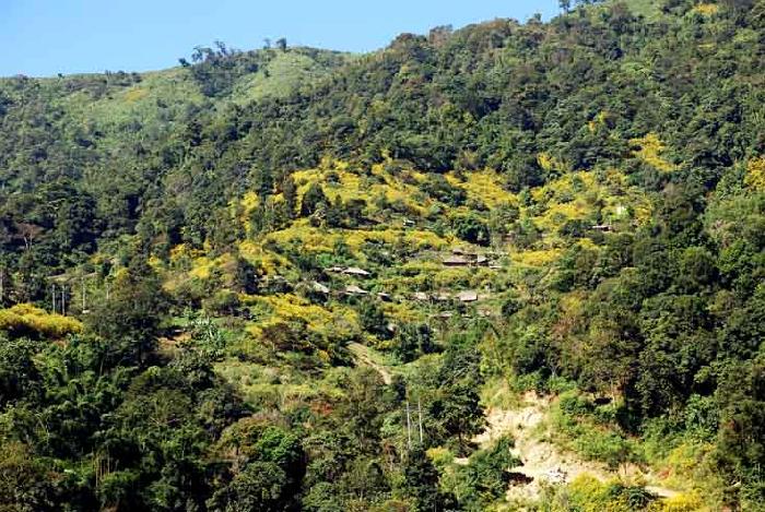 Photo by :: ����ǧ