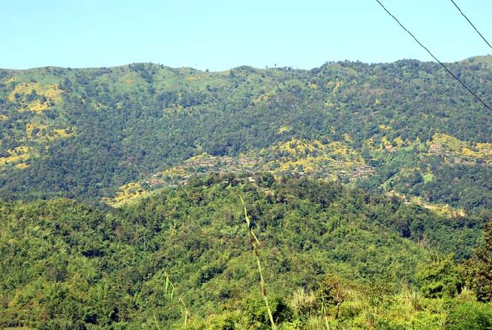 Photo by :: ����ǧ