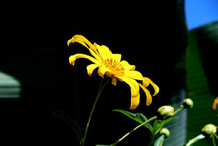 Photo by :: ����ǧ