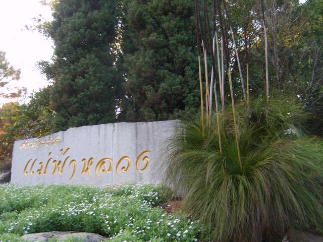 Photo by :: ลมหลวง