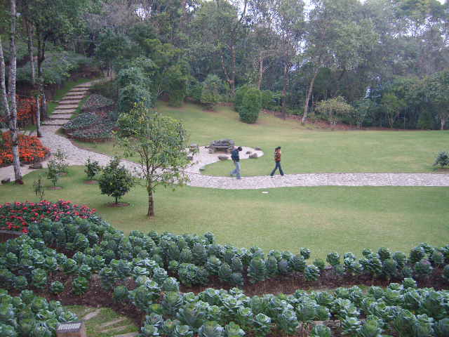 Photo by :: ลมหลวง