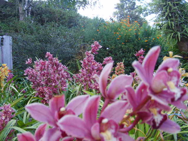 Photo by :: ลมหลวง