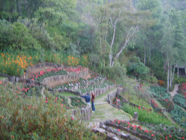 Photo by :: ����ǧ