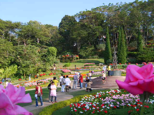 Photo by :: ����ǧ