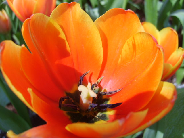 Photo by :: ����ǧ