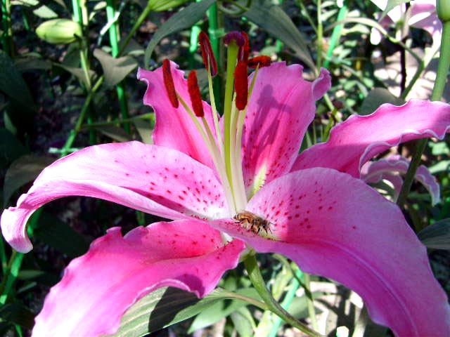 Photo by :: ����ǧ