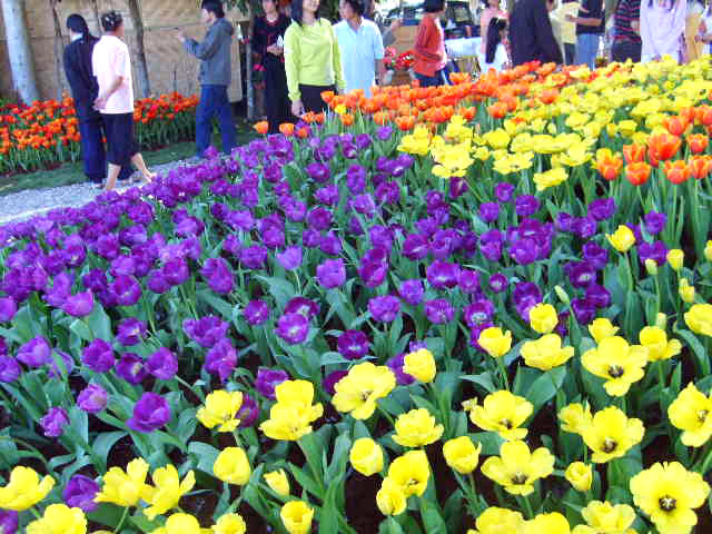 Photo by :: ����ǧ