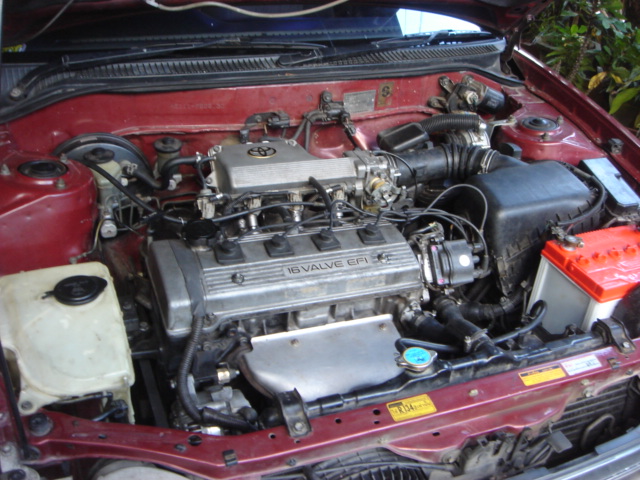 Photo by :: ����ظ