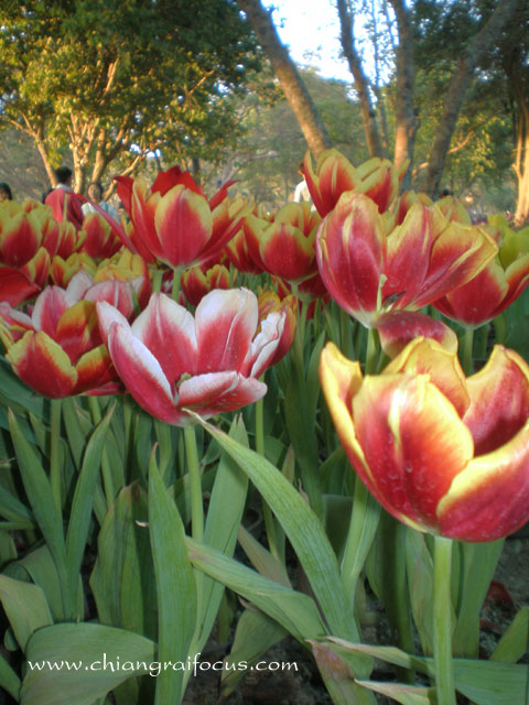 Photo by :: ��§���⿡�� 