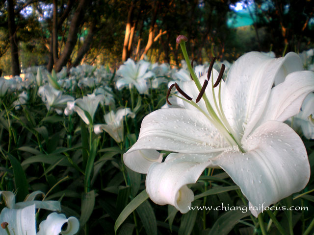 Photo by :: ��§���⿡��