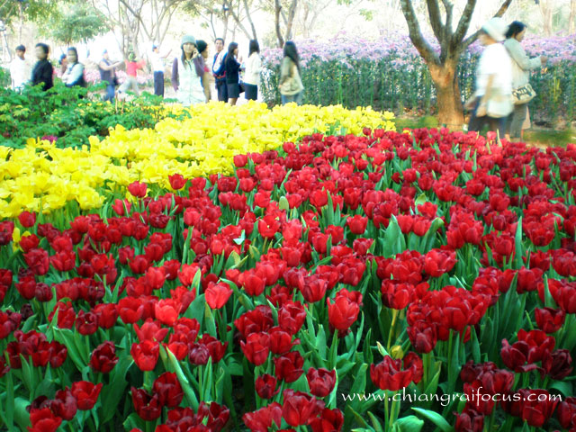 Photo by :: ��§���⿡�� 