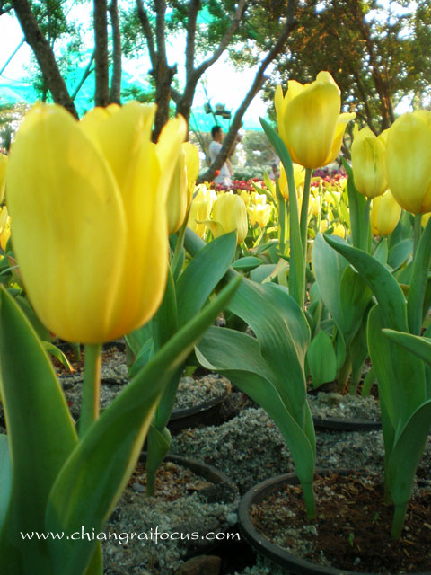 Photo by :: ��§���⿡�� 