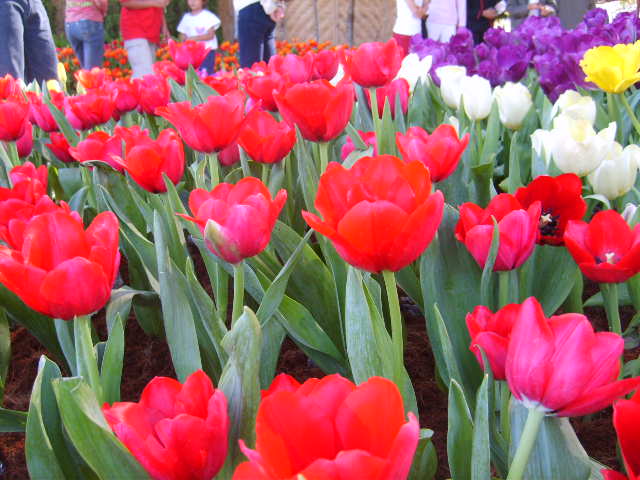 Photo by :: ����ǧ