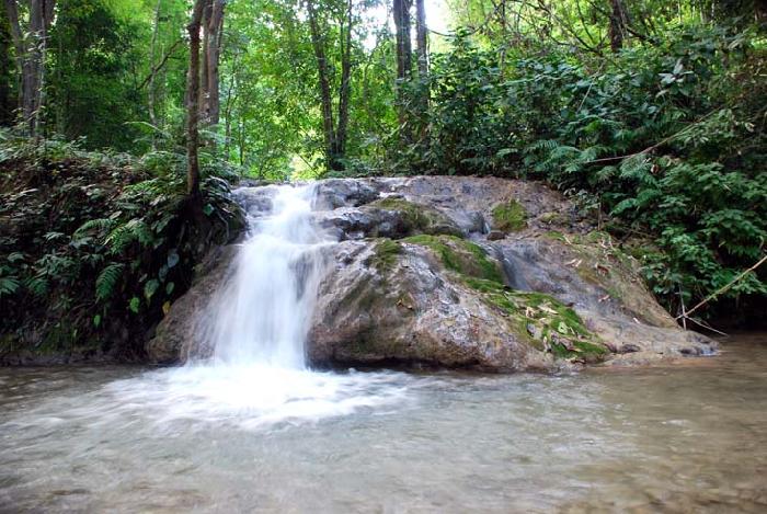 Photo by :: ����ǧ