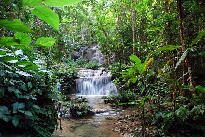 Photo by :: ����ǧ